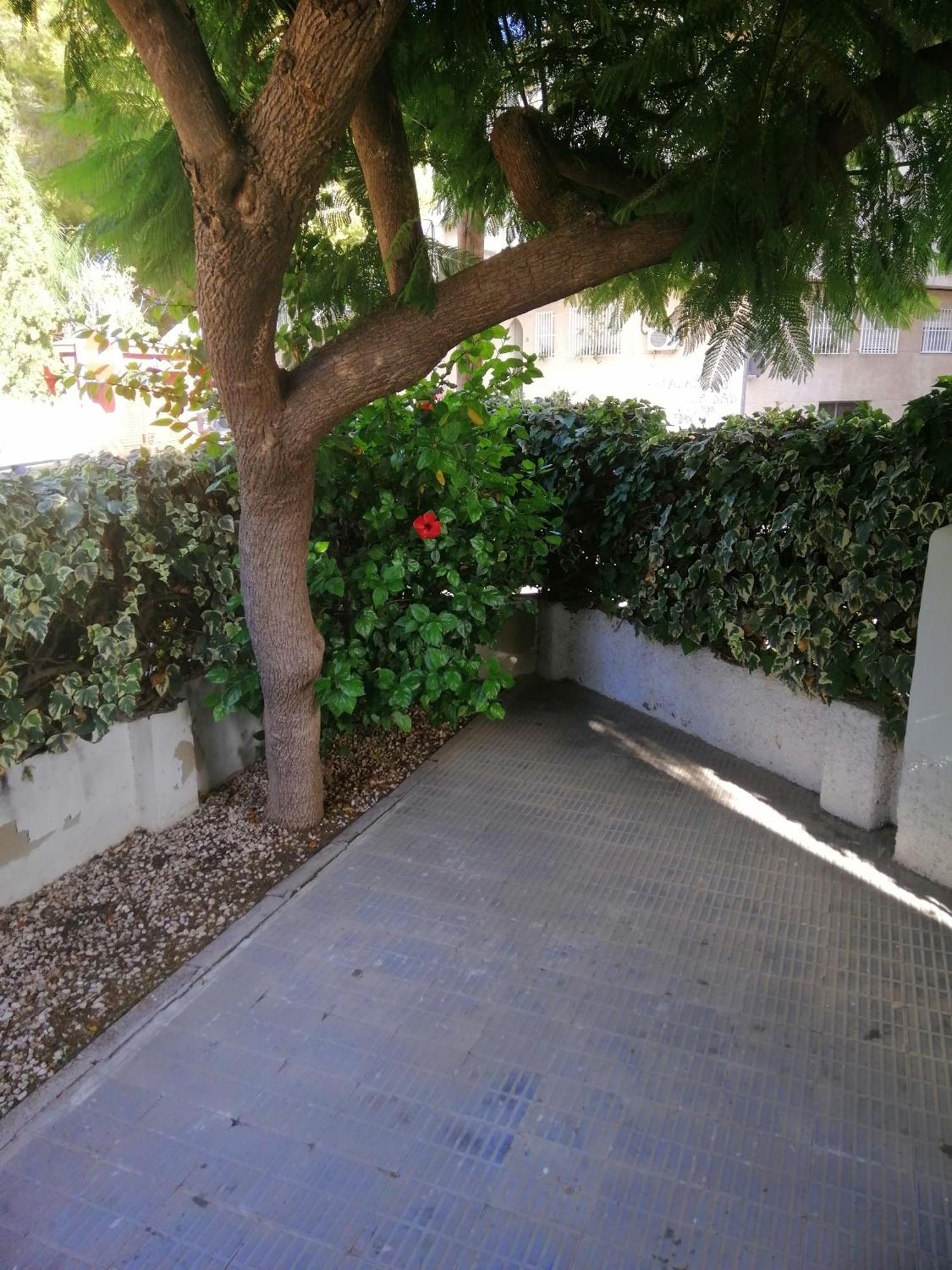 Chalet II Con Jardin Y Wifi En La Playa San Pedro del Pinatar Eksteriør billede